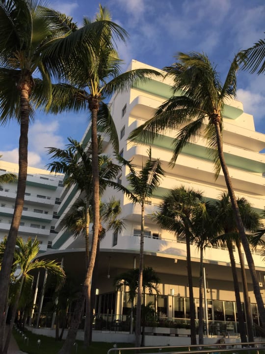 Riu Garten  Hotel Riu Plaza Miami Beach