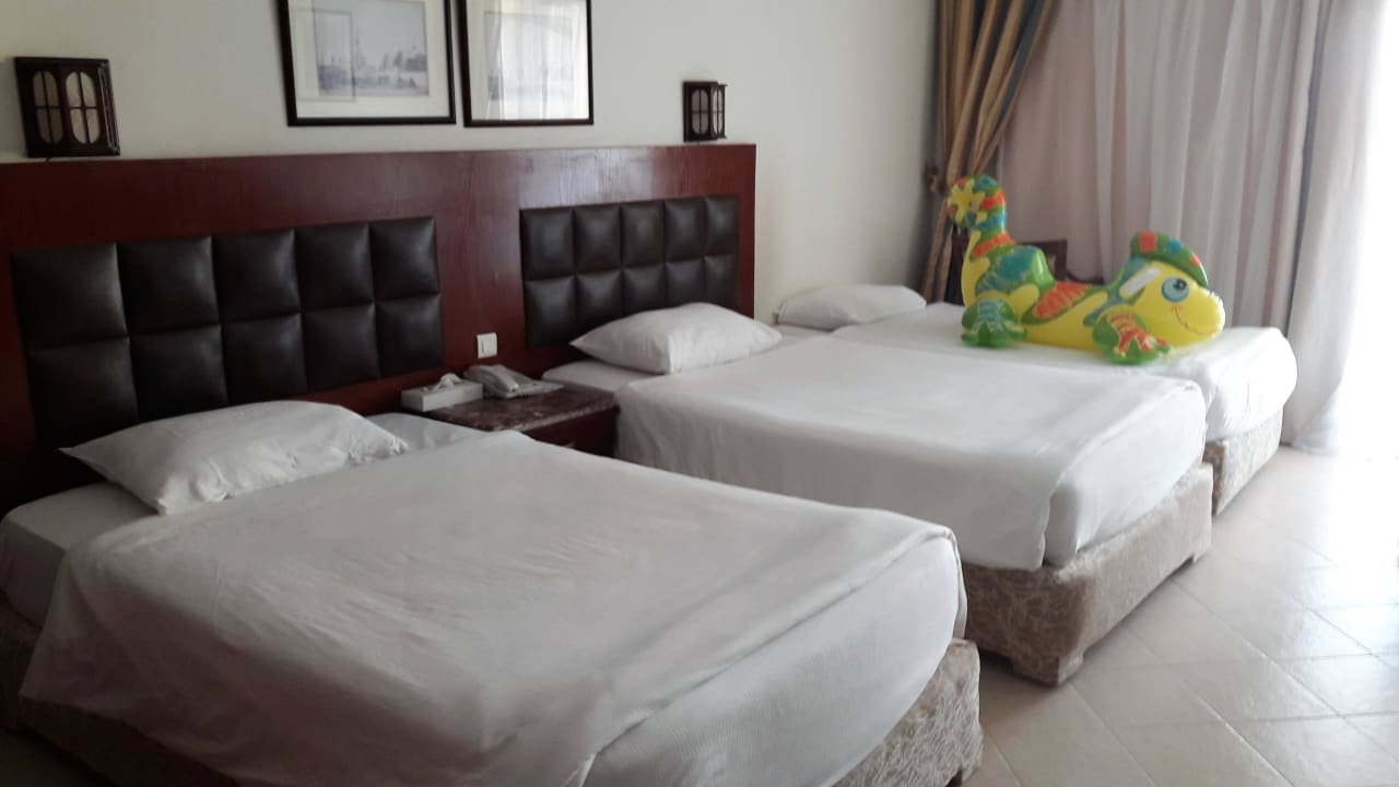 Superior-Zimmer Pickalbatros Dana Beach Resort - Hurghada