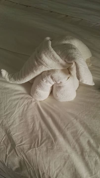 Badetuchelephant Sentido More Meni Residence & Suites