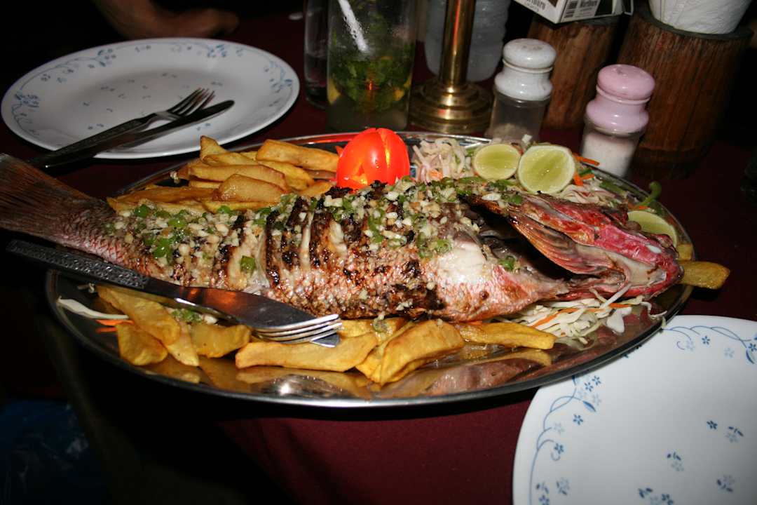 Köstlicher Red Snapper Blue Corner Camp