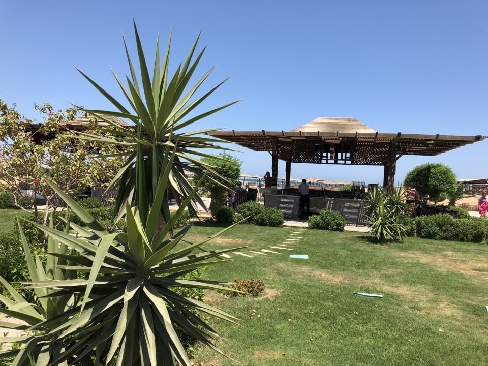 Gartenanlage Gravity Hotel & Aqua Park Hurghada