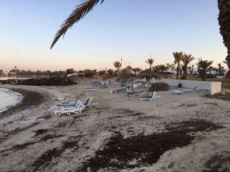 Strand Hotel El Mouradi Djerba Menzel