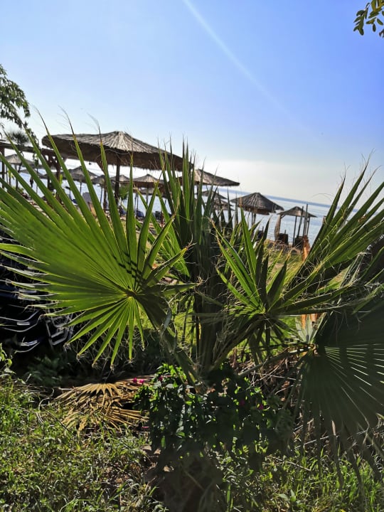 Garten Philoxenia Hotel