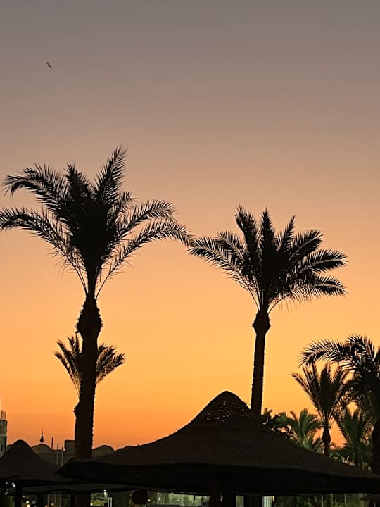 Strand Utopia Beach Club