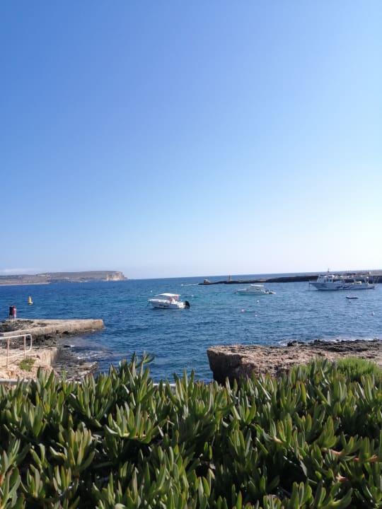 Gartenanlage Riviera Spa Resort - Adults Only