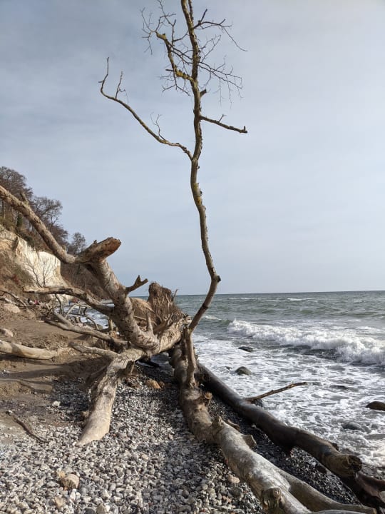 Strand IFA Rügen Hotel & Ferienpark
