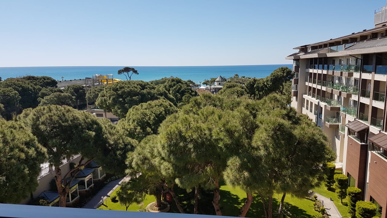 Ausblick Papillon Ayscha