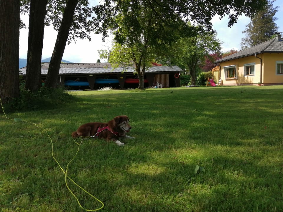 Strand Strandpension Adametz