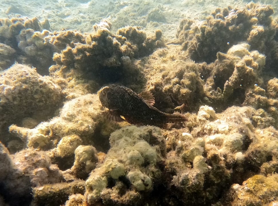 Strand Brayka Bay Resort