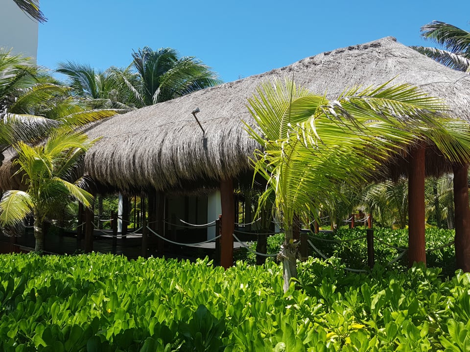 Gartenanlage Akumal Bay Beach & Wellness Resort