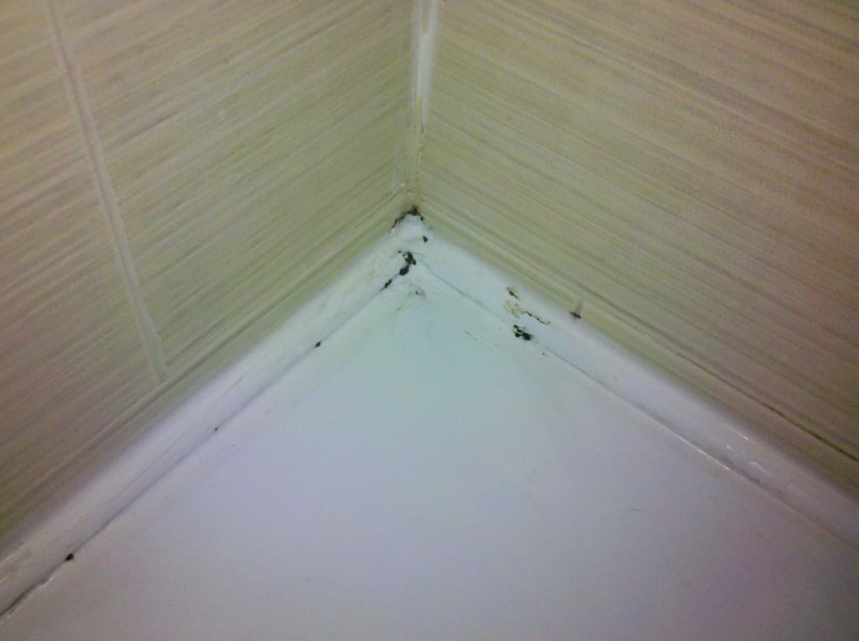 Schimmel im Bad Imperial Palace Hotel