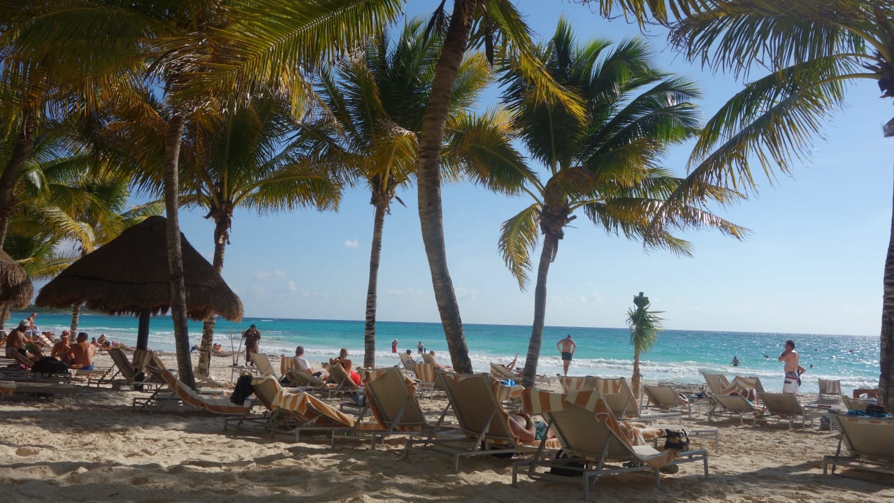 Alles belegt Catalonia Royal Tulum Beach & Spa Resort - Adults only