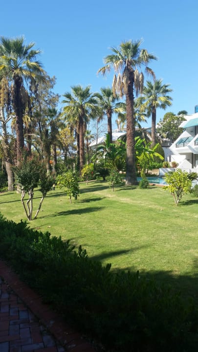 Weg zum Strand Side Star Elegance