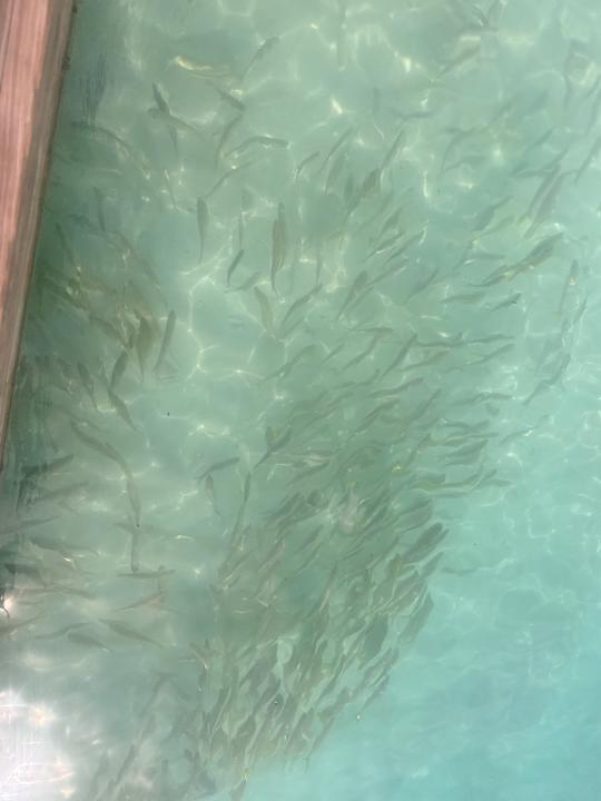 Strand Kuramathi Maldives