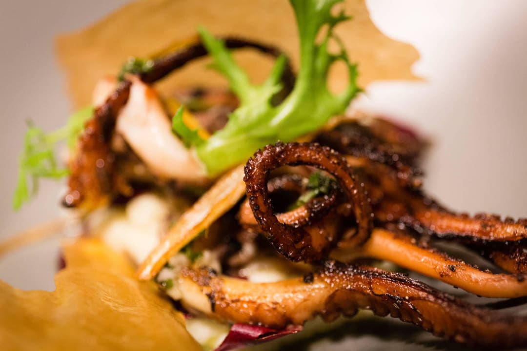  finca el tossal Finca el Tossal