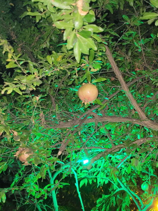 Gastro Aroma Butik Hotel