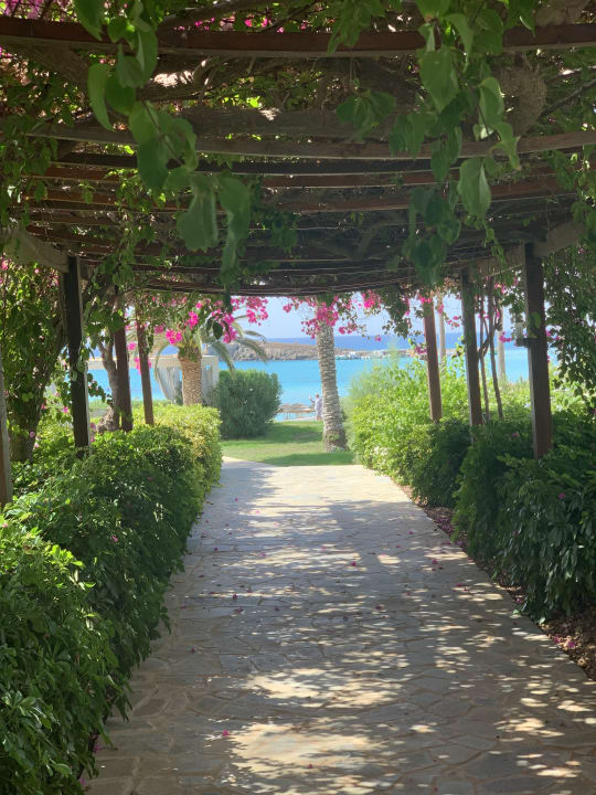 Gartenanlage Hotel Nissi Beach Resort