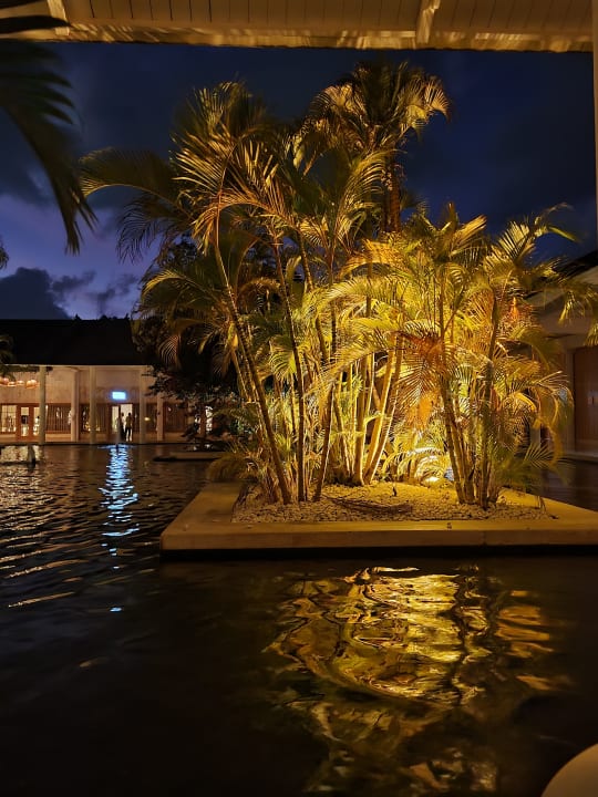 Lobby Meliá Punta Cana Beach Resort - A Wellness Inclusive For Adults Only
