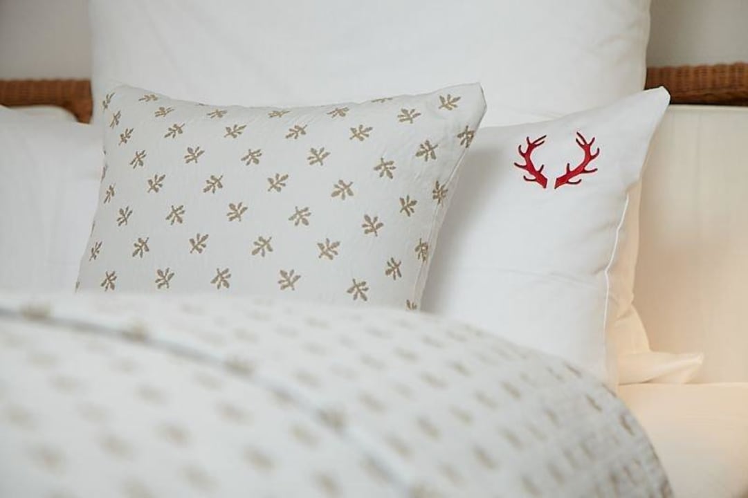 Ausschnitt Wohnung Rehbraun Ferienwohnungen Schittlerhaus