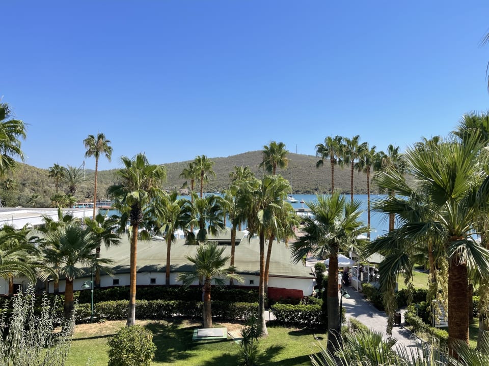 Ausblick Green Bay Resort & Spa