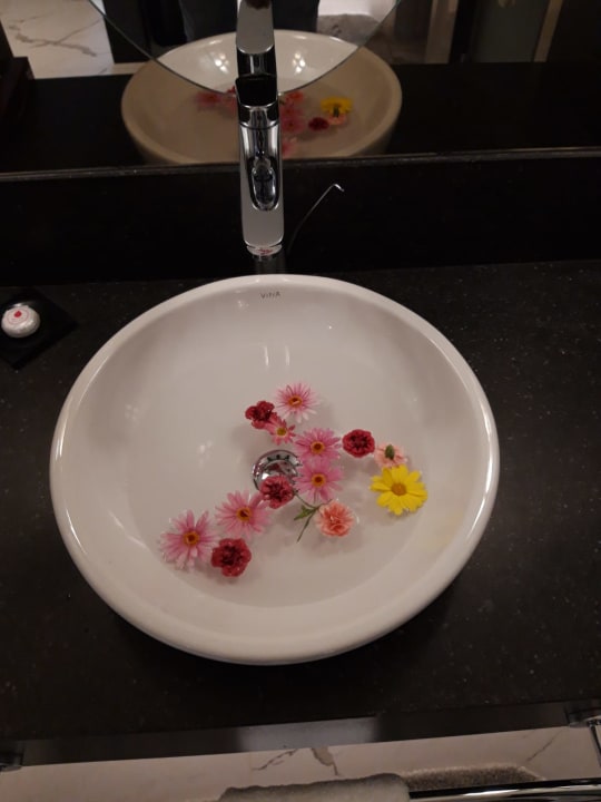 Zimmer Arum Barut Collection