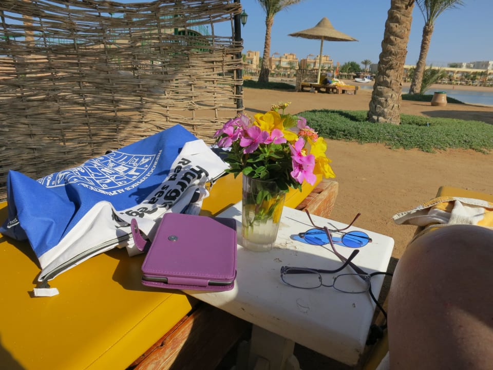 Jeden Tag ein kleiner Strauss Desert Rose