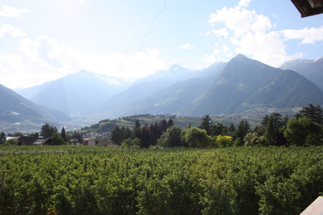 Blick vom Balkon auf den Obstgarten und die Berge Pension Appartements Riedingerhof
