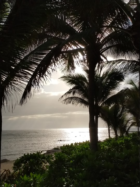 Ausblick TRS Yucatan Hotel - Adults only