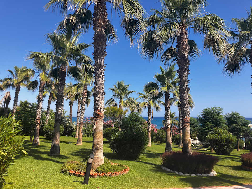 Gartenanlage Hotel Turan Prince