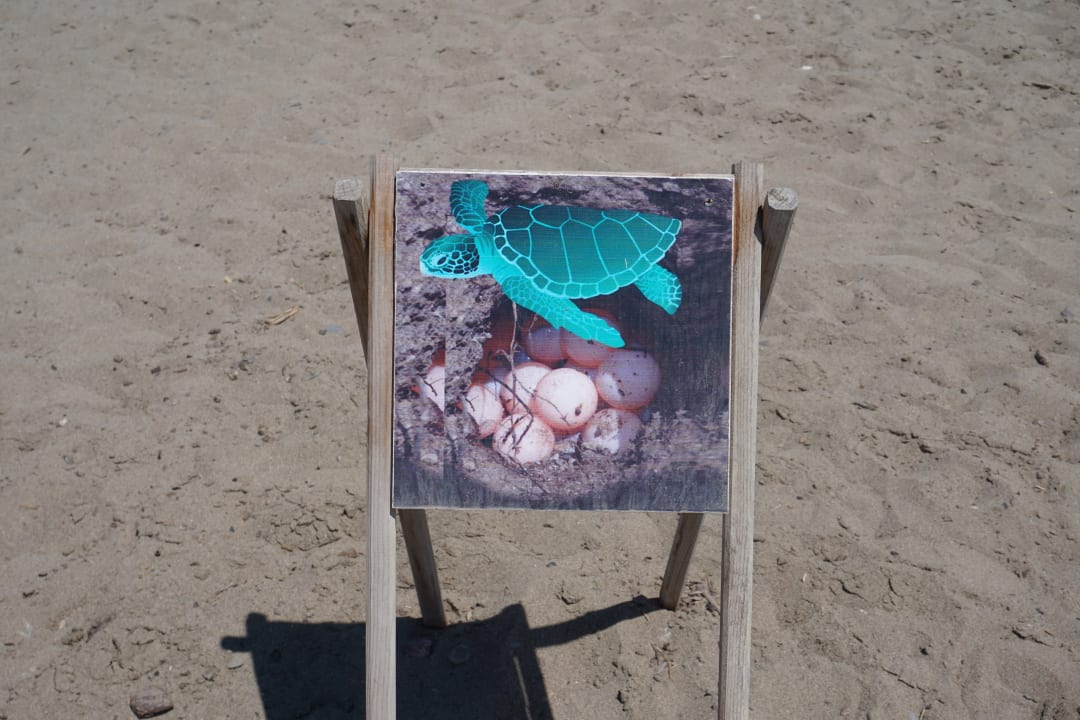 Strand Belek Beach Resort Hotel