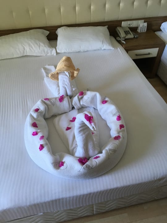 Zimmer Blue Diamond Alya