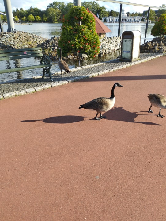 Sonstiges Heide Park Abenteuerhotel