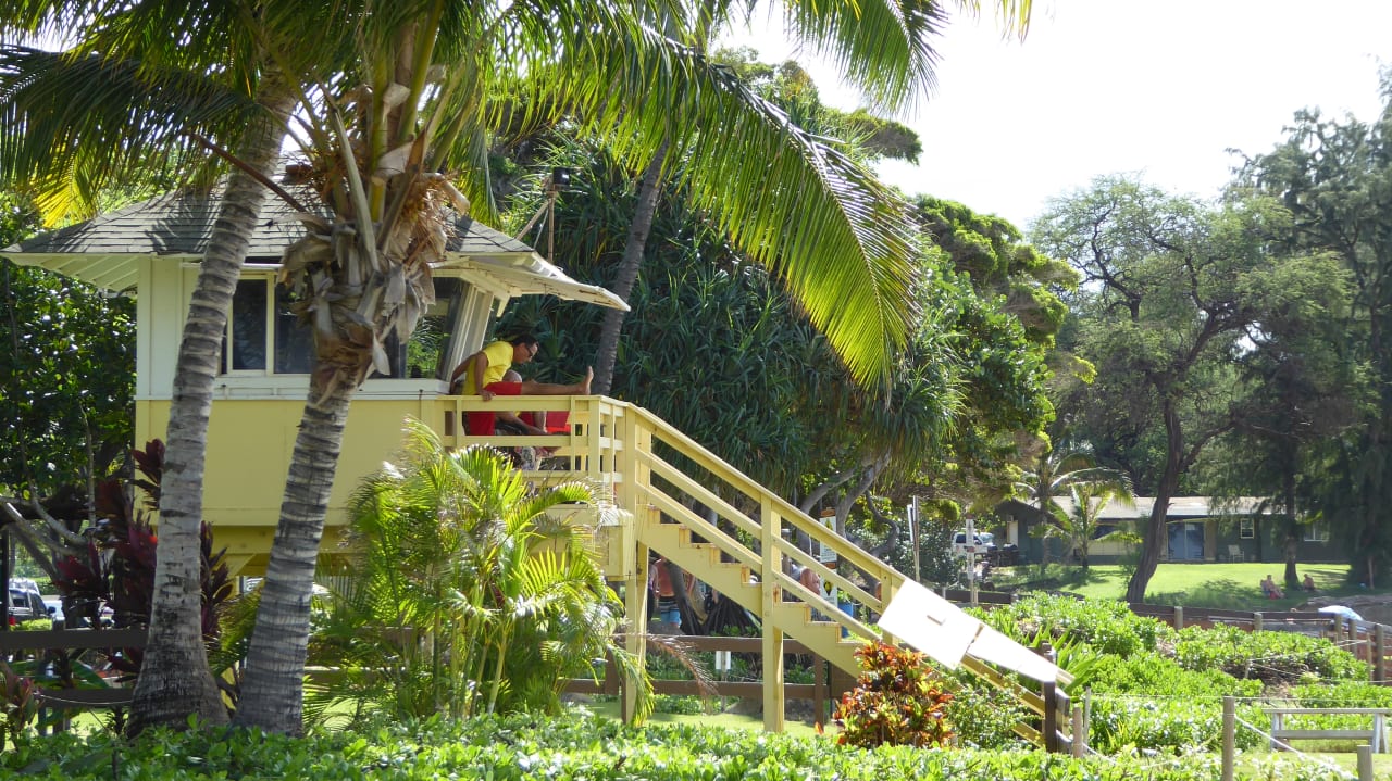 Garten Aston at the Maui Banyan