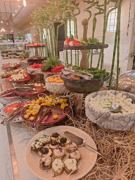 Gastro Acanthus Cennet Barut Collection