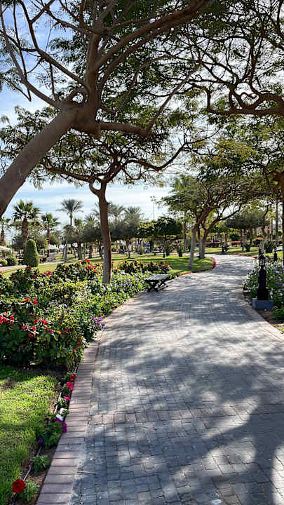 Gartenanlage Steigenberger ALDAU Beach Hotel