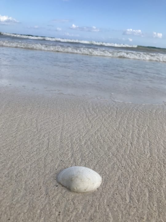 Strand Akumal Bay Beach & Wellness Resort