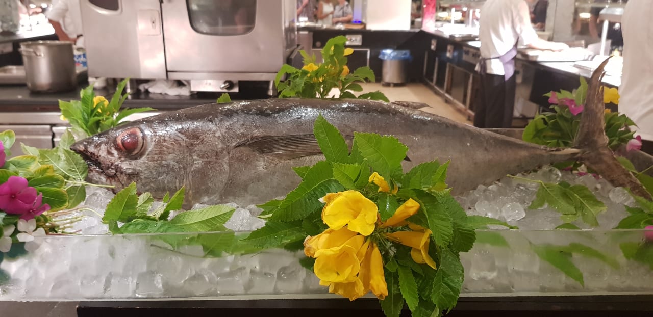 Gastro Cleopatra Luxury Resort Makadi Bay