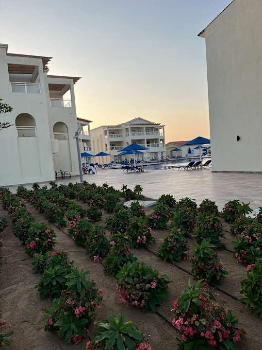 Außenansicht Albatros Makadi Resort