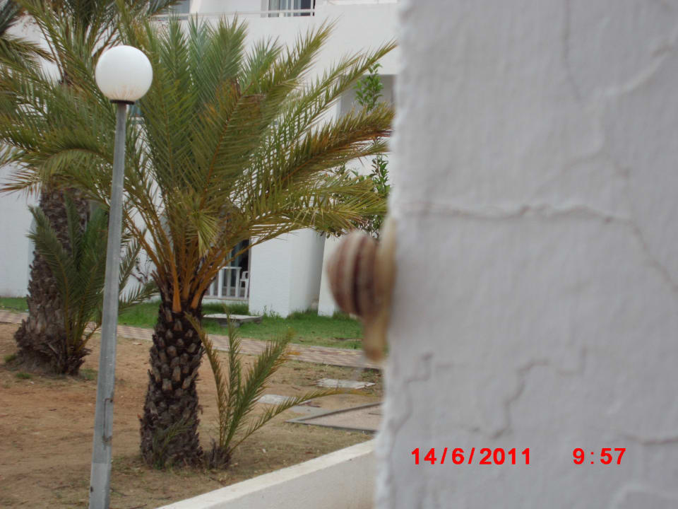 Die Schnecke Hotel El Mouradi Djerba Menzel
