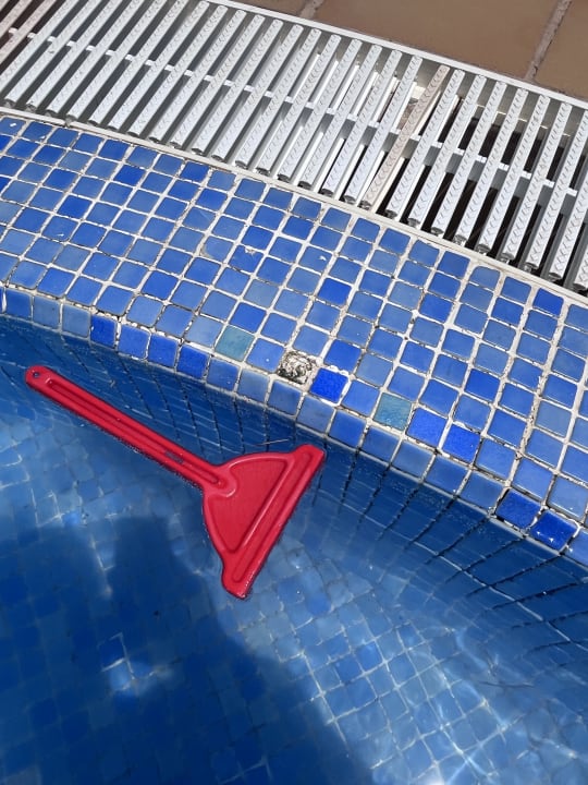 Pool SBH Hotel Royal Monica