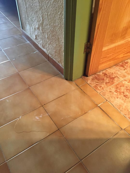 Badewanne undicht, nach dem Duschen Wasserlache HOVIMA Panorama