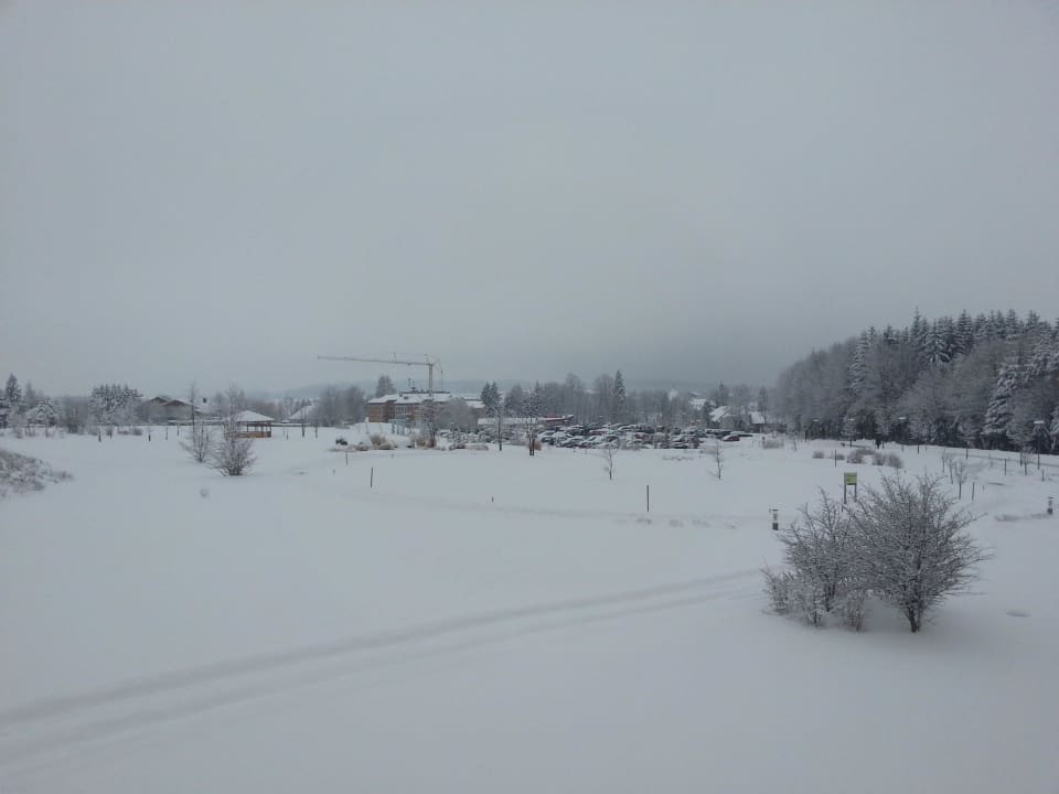 Ausblick vom Balkon Lebens.Resort Ottenschlag