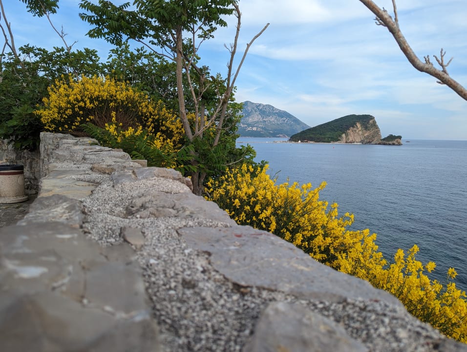 Ausblick Iberostar Waves Bellevue