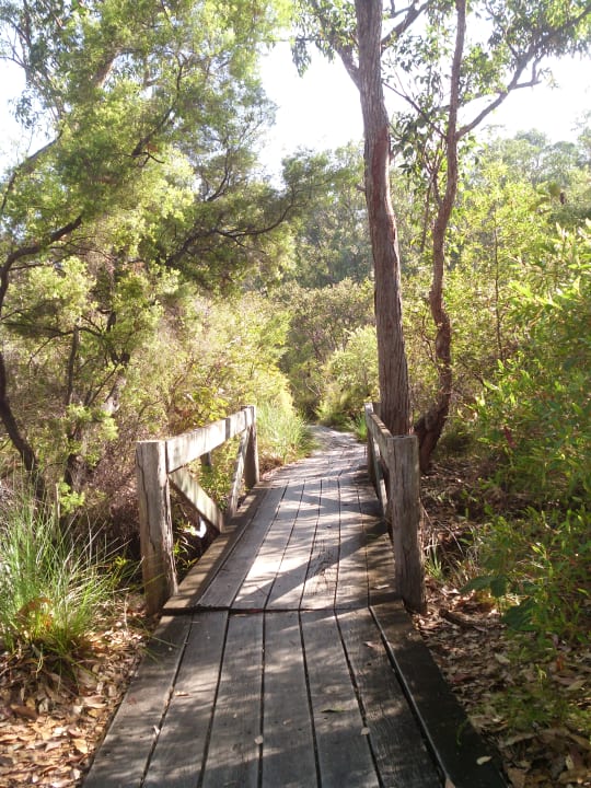 Gartenanlage Kingfisher Bay Resort