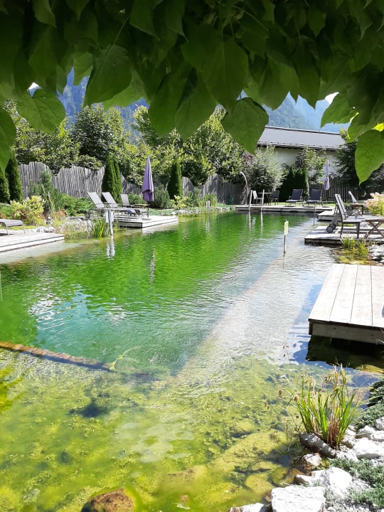 Gartenanlage Familien- & Vitalhotel Mühlpointhof