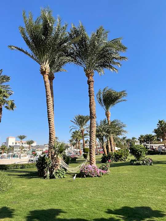 Gartenanlage Amarina Abu Soma Resort & Aquapark
