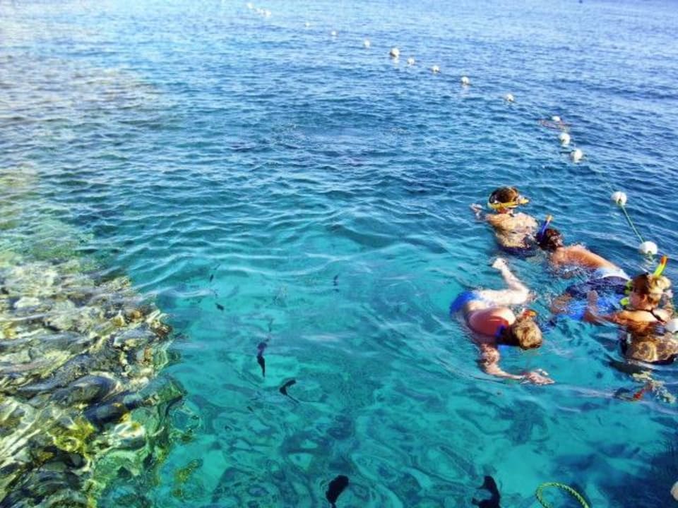 Beim Schnorcheln am Hausriff Siva Sharm