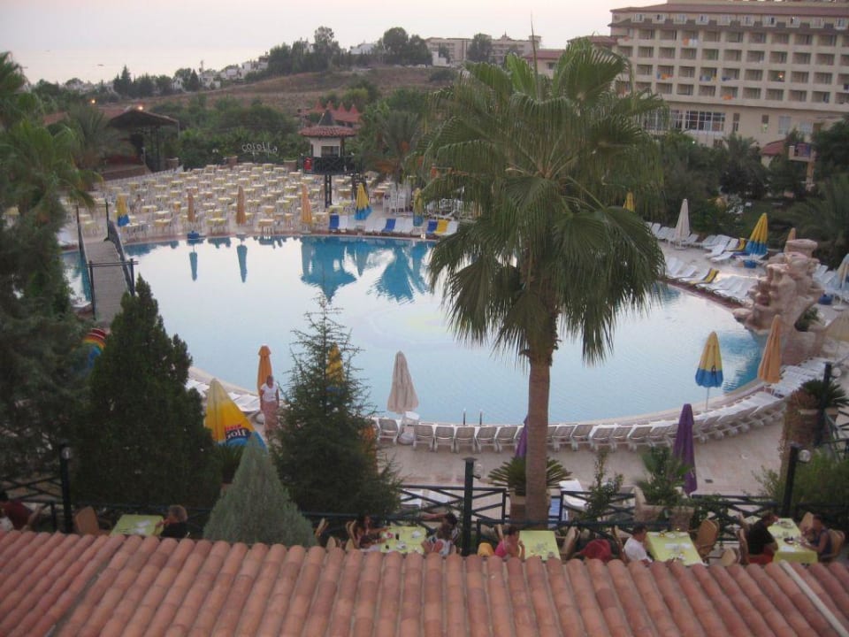 Pool Seaden Corolla Hotel