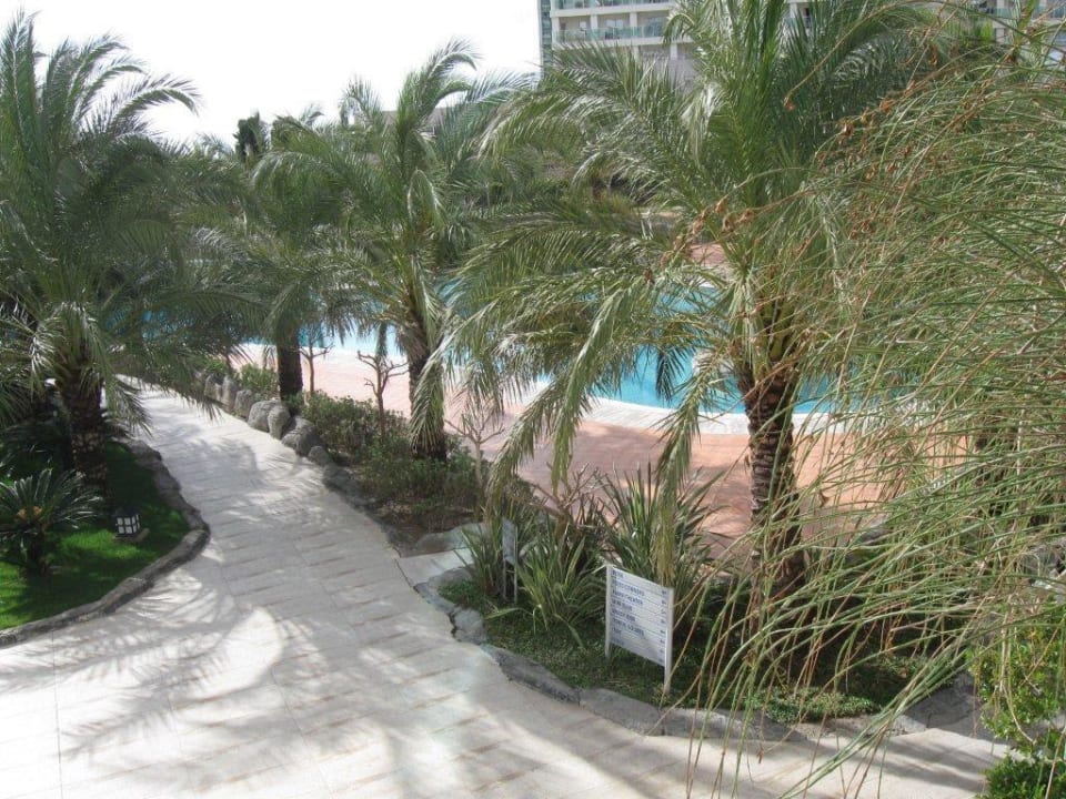 Weg zur Poolbar Royal Wings Hotel