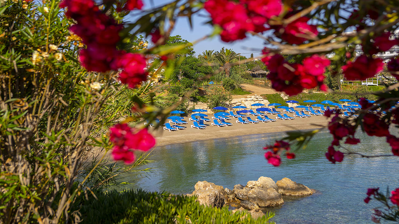 Strand Crystal Springs Beach Hotel